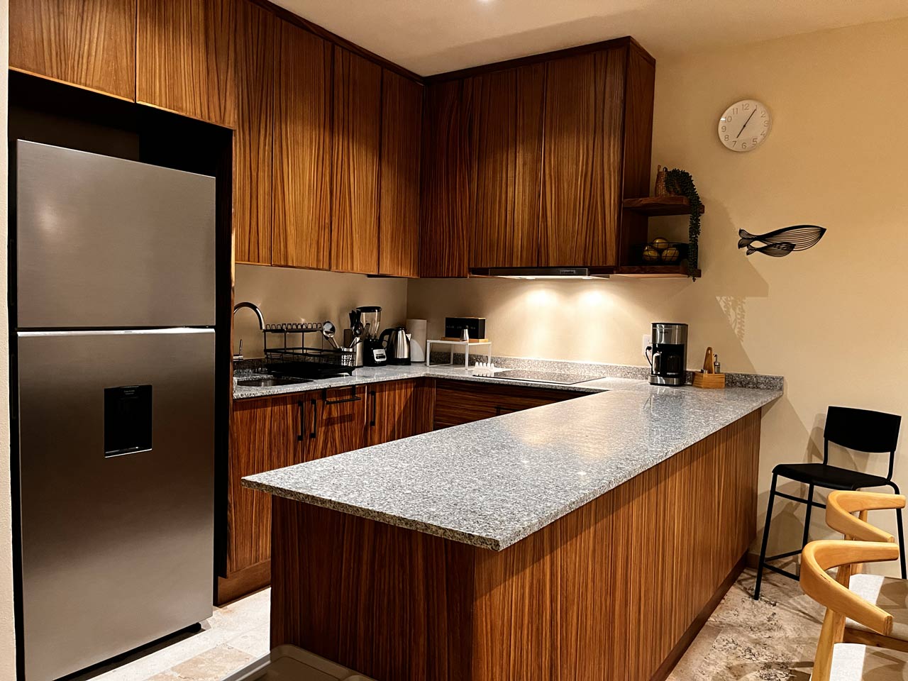 Stainless steel appliances Bucerias condo